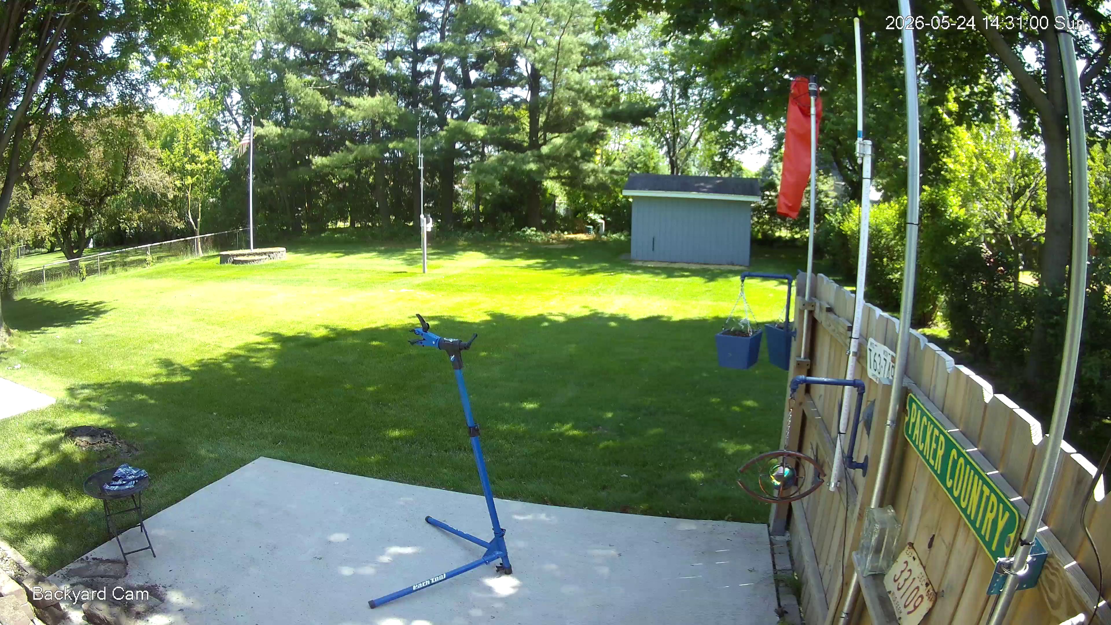 Backyard Cam