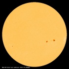 SDO/HMI Continuum Image of the Sun